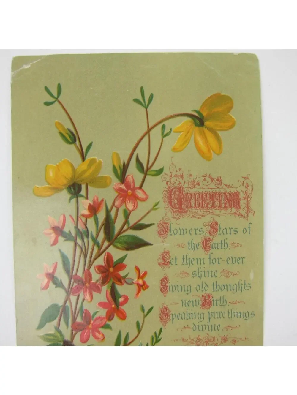 Victorian Greeting Card LARGE Flowers Red Yellow Blue Pink Antique 1881